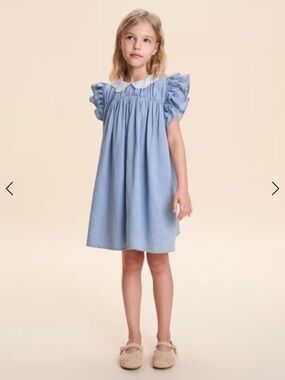 Blue Dress with White Peter Pan Collar and Ruffle Sleeves